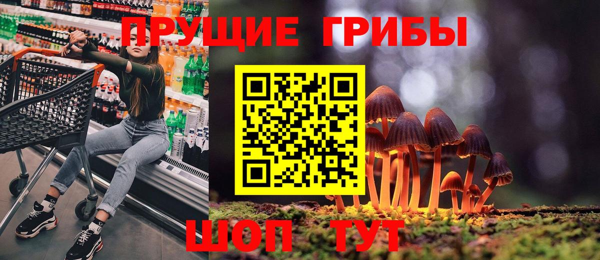 Керчь  Галлюциногенные грибы MAGIC MUSHROOMS  купить наркоту  Вход с VPN 