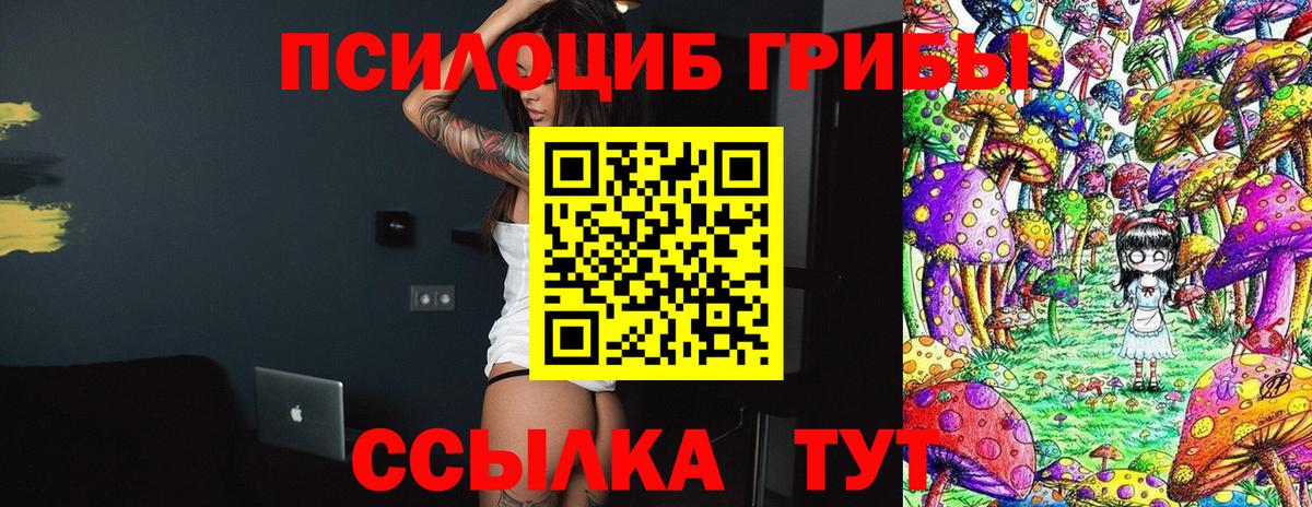 Галлюциногенные грибы Psilocybine cubensis Керчь
